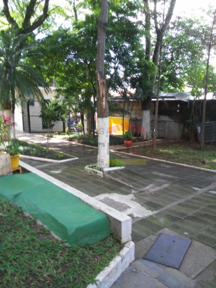 Foto 19