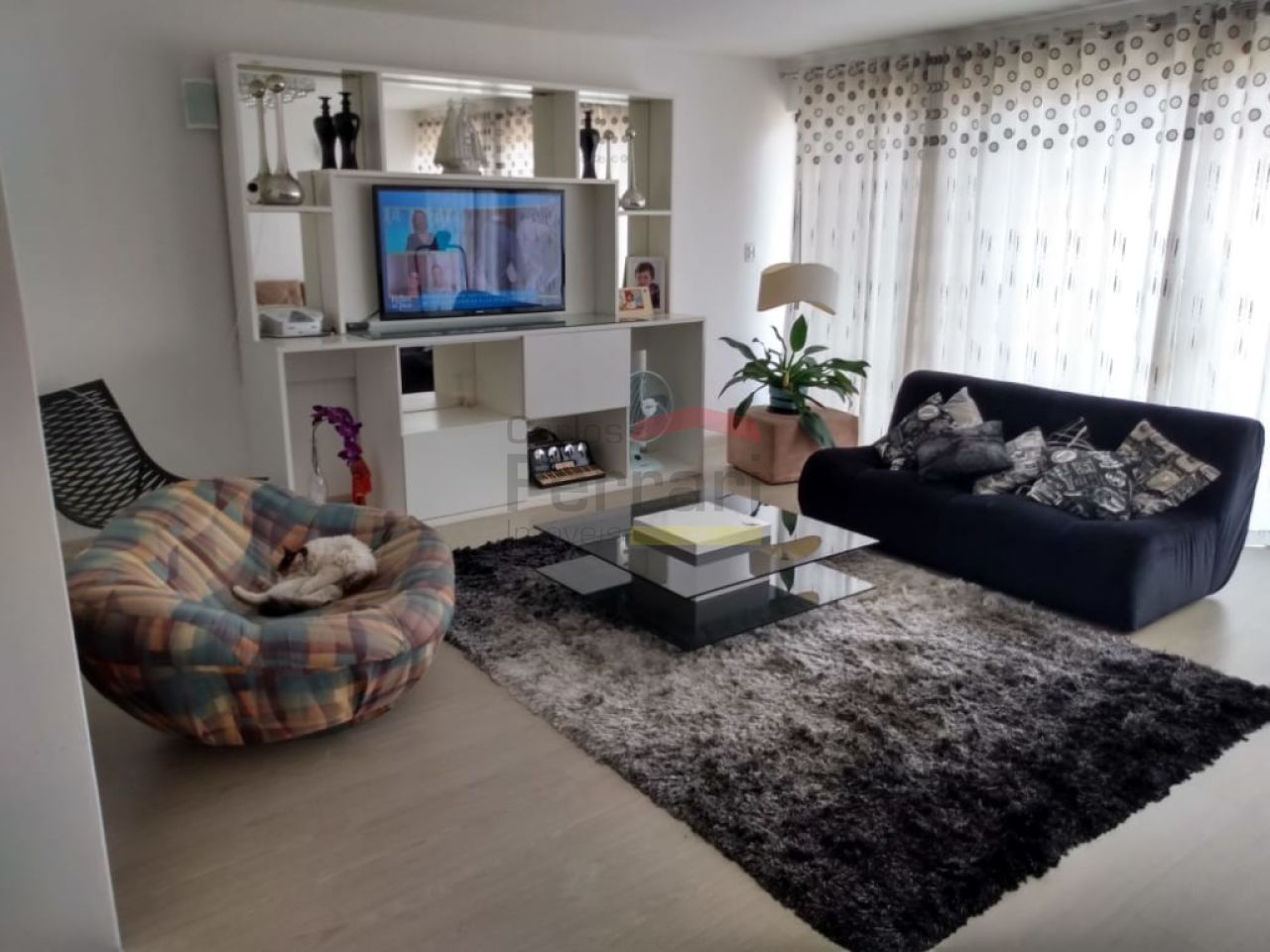 Foto 5