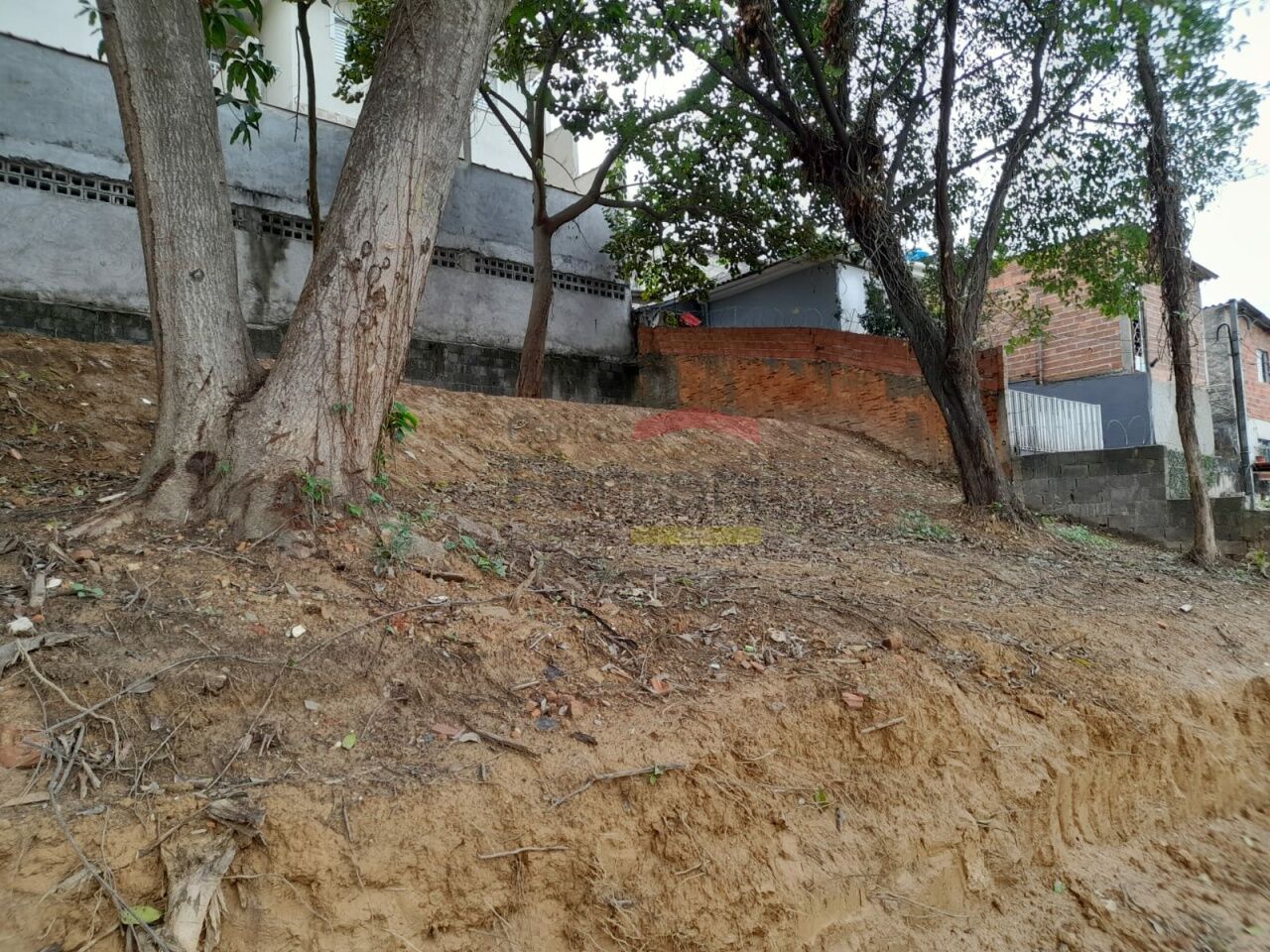 Foto 0