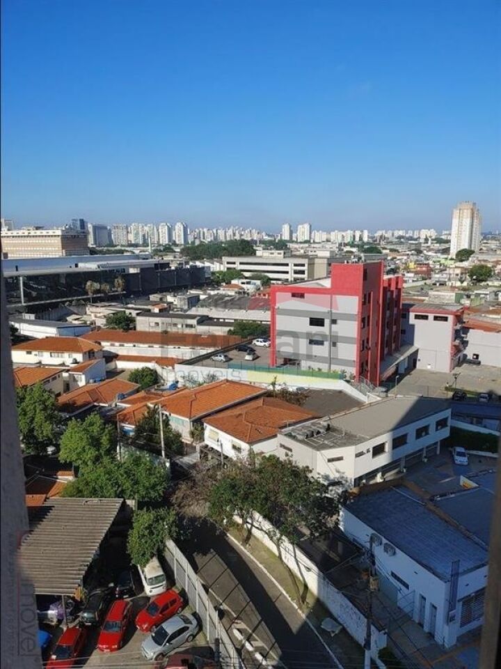 Foto 19
