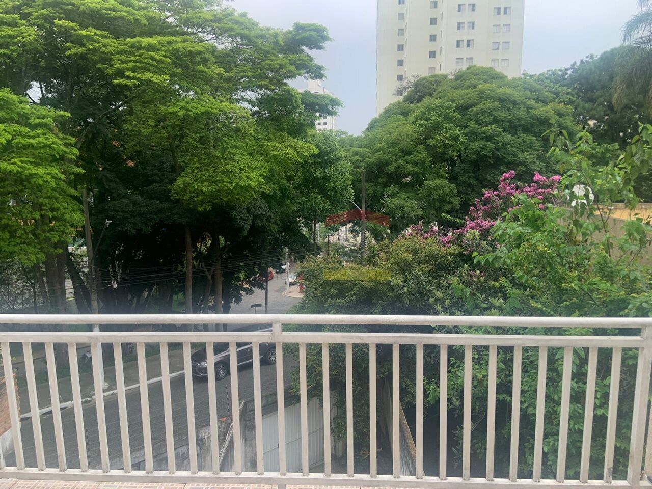 Foto 0