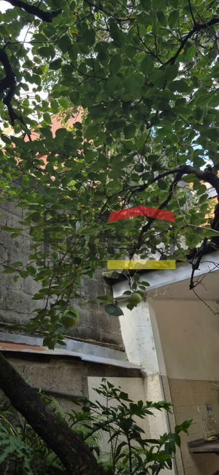 Foto 31