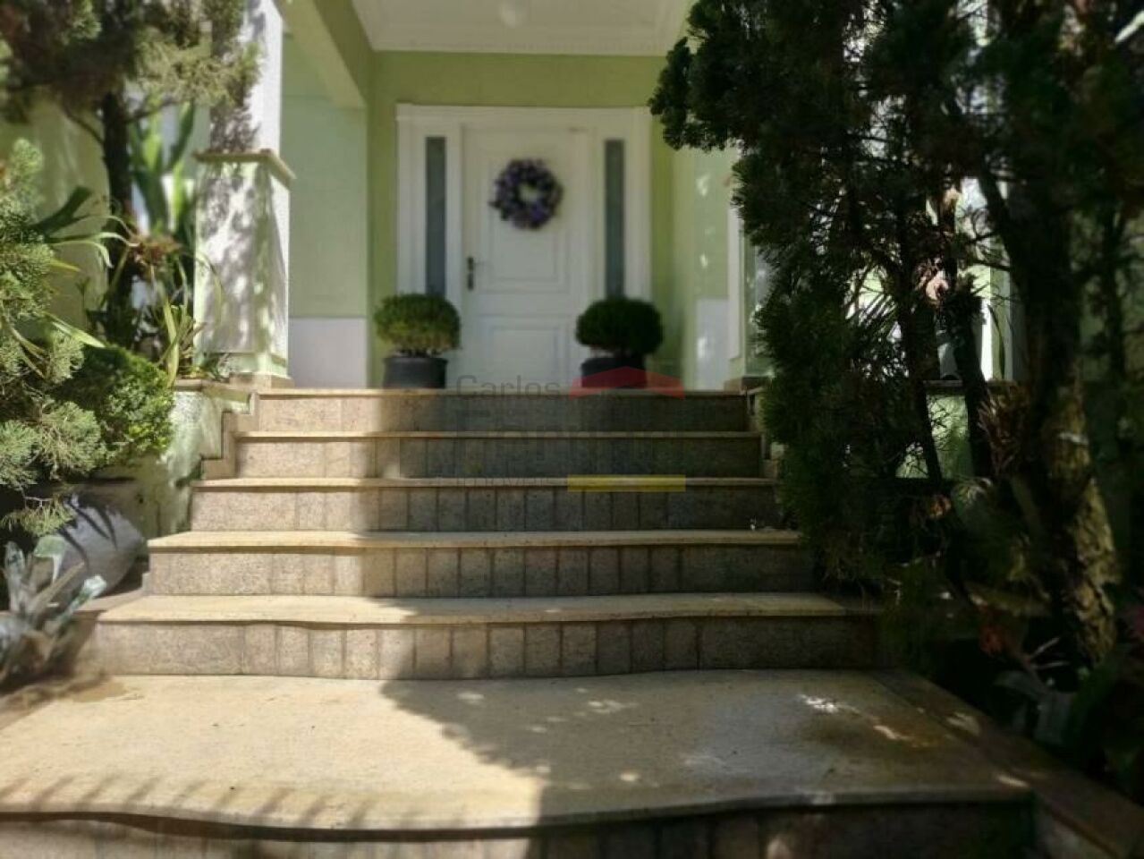 Foto 6