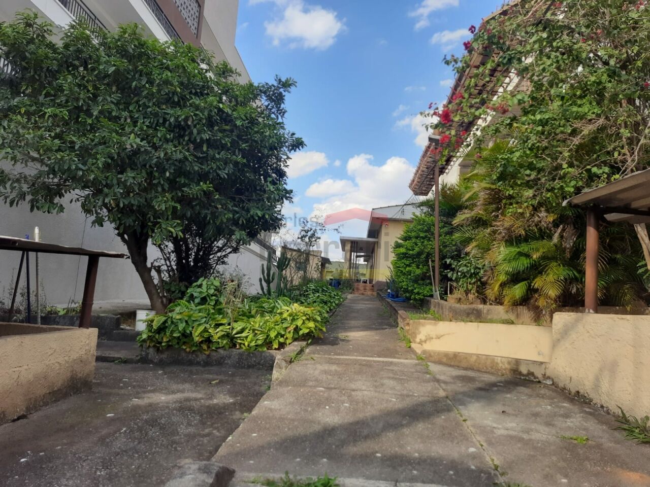 Foto 0