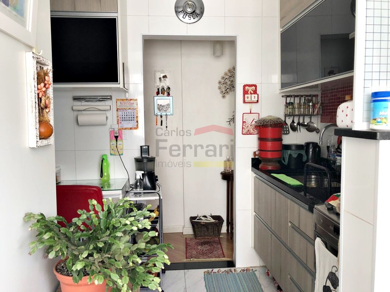 Foto 19
