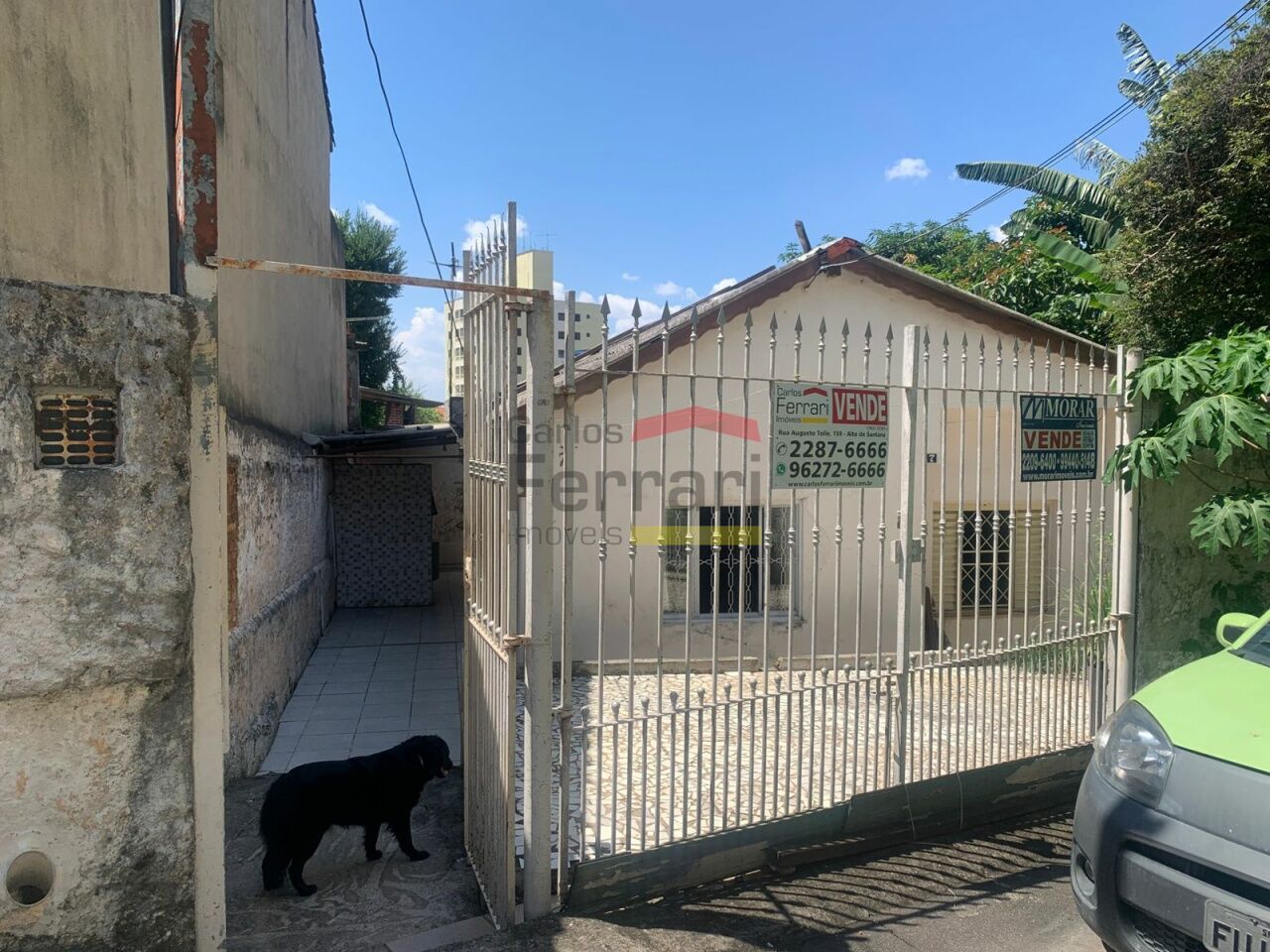 Foto 0