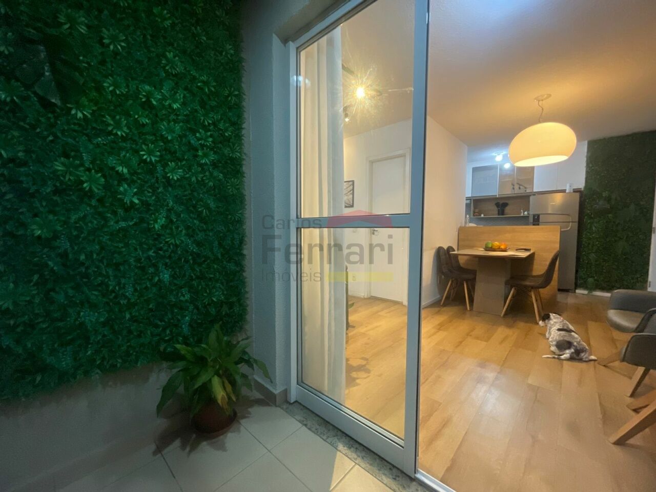 Foto 7