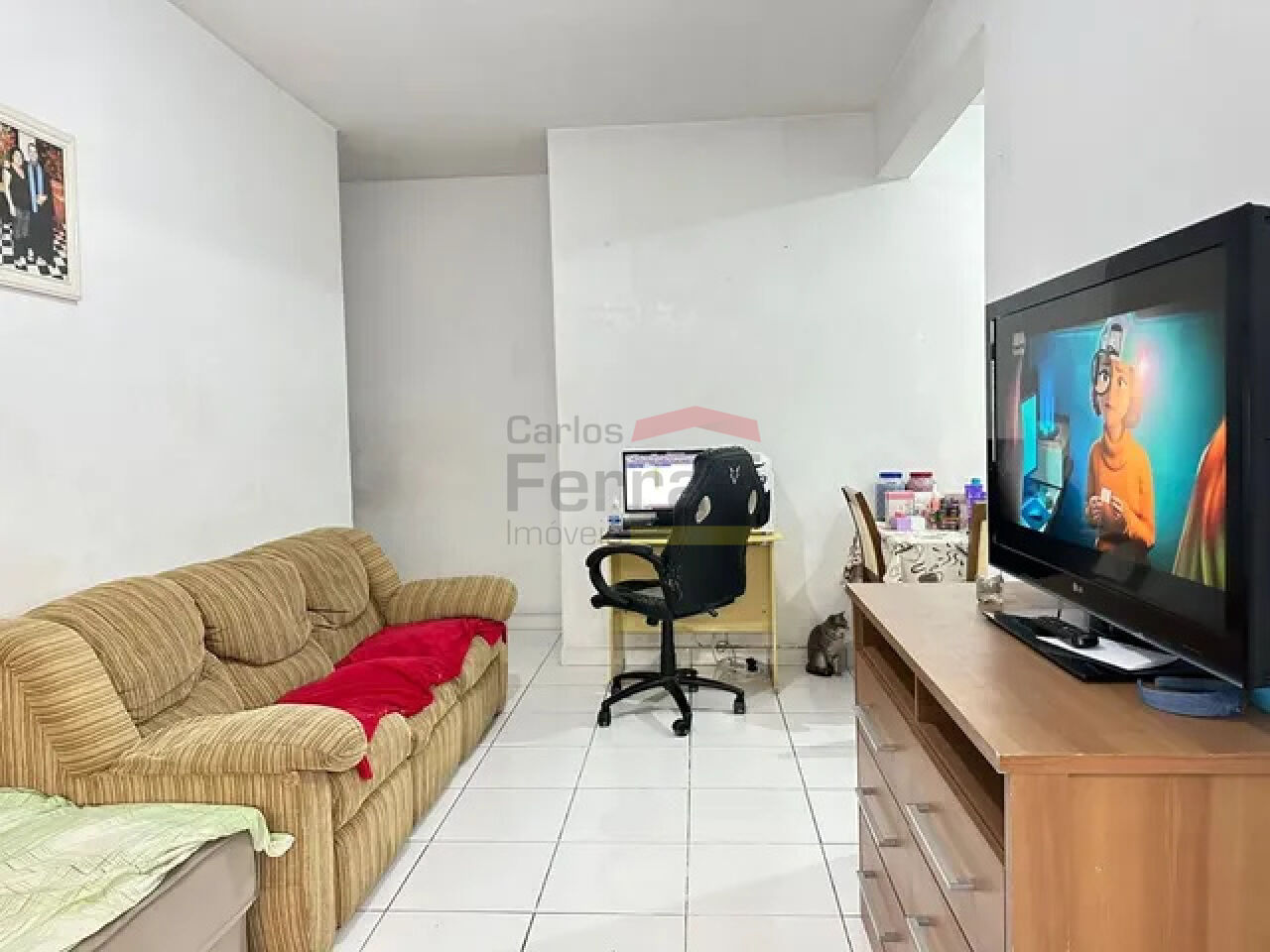 Foto 1
