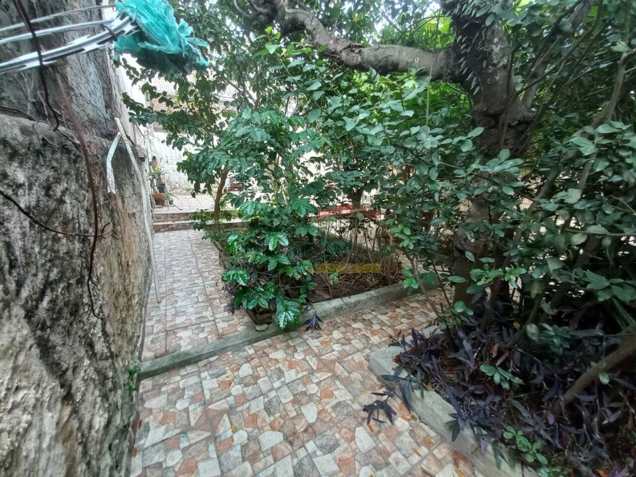 Foto 21