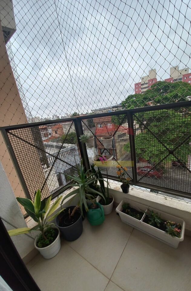 Foto 20