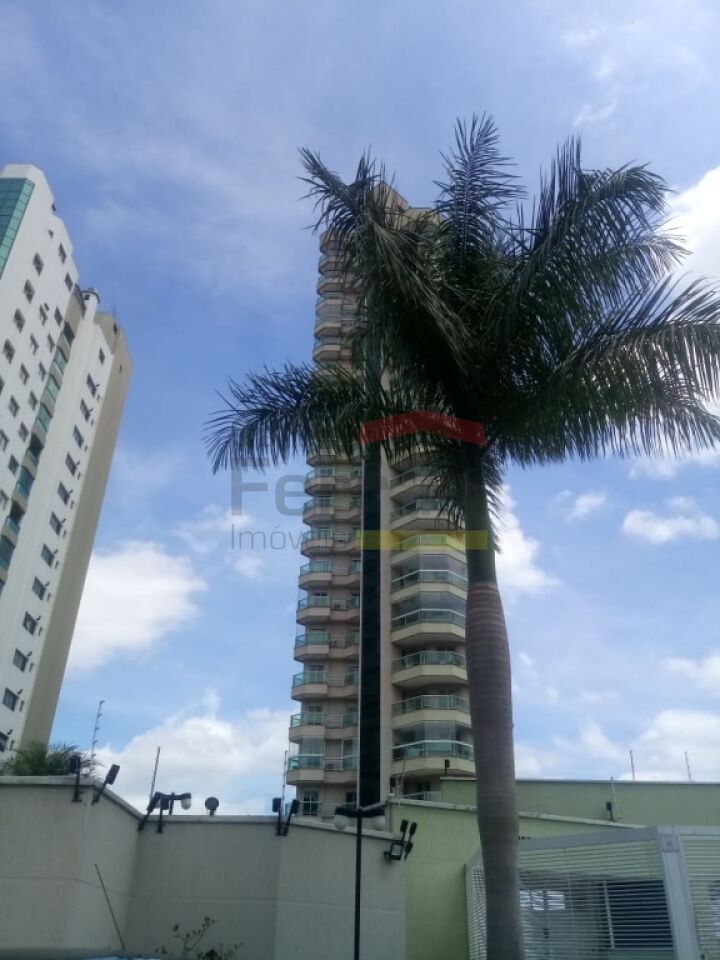 Foto 42