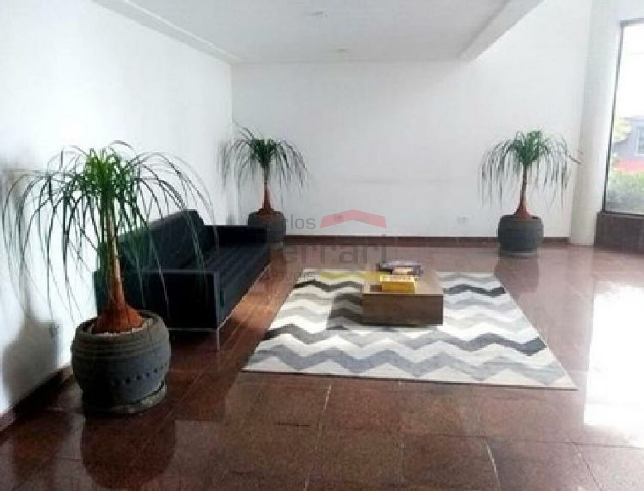 Foto 10