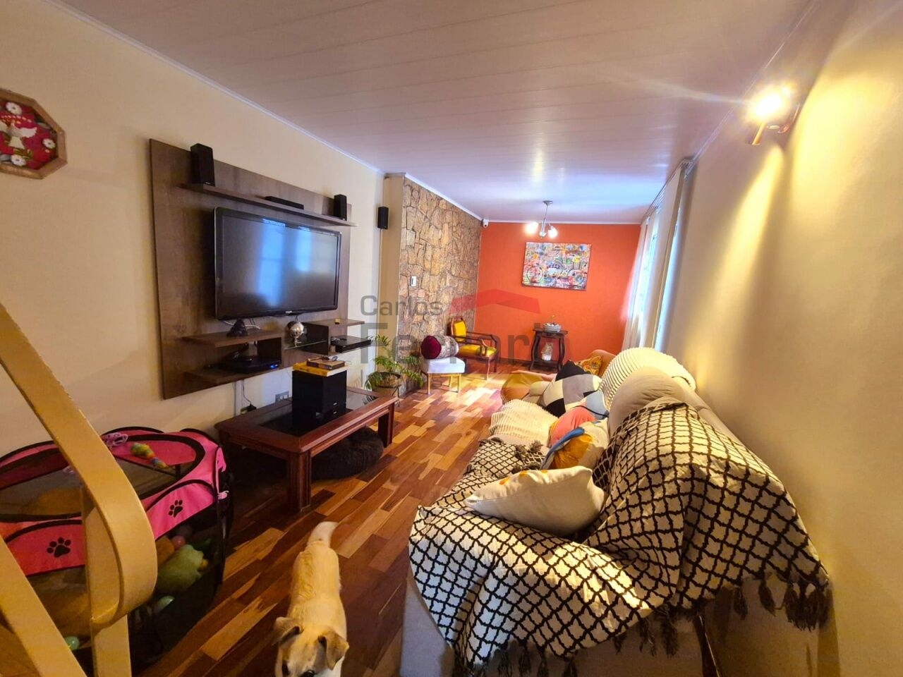 Foto 3