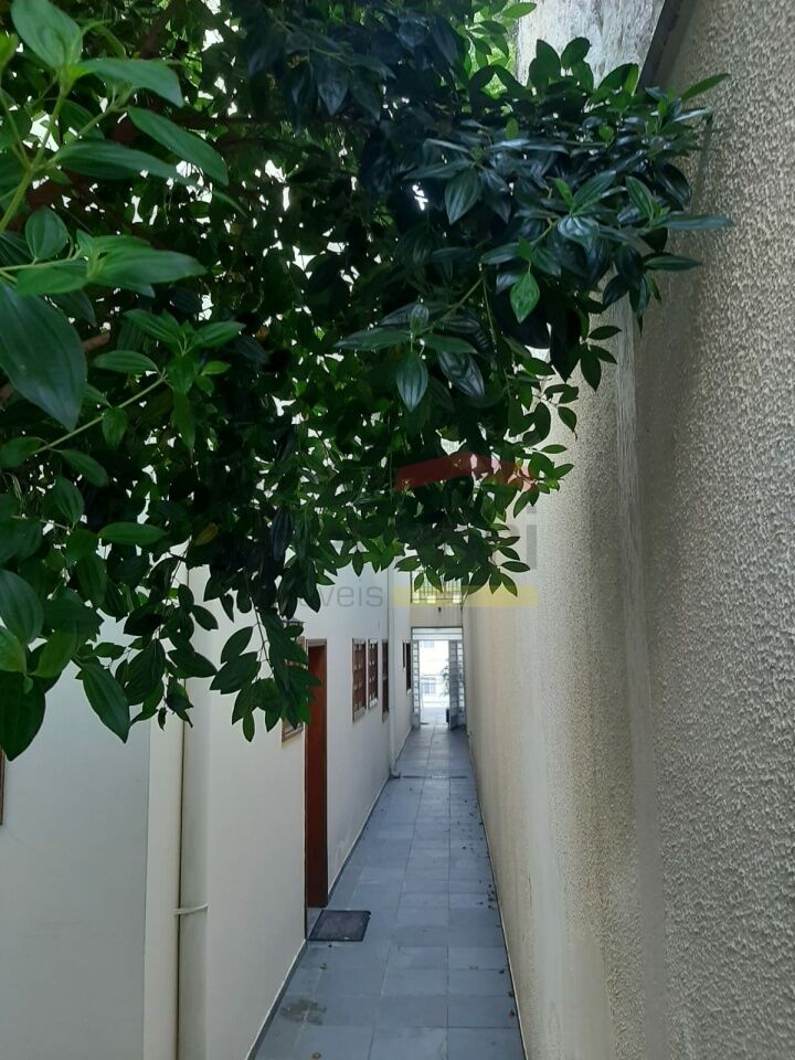 Foto 31
