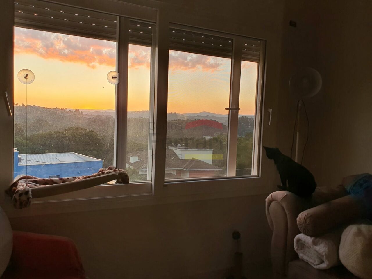 Foto 17