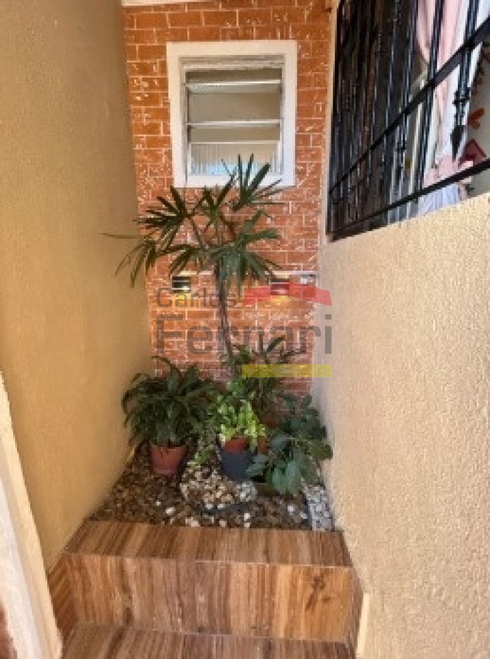 Foto 19