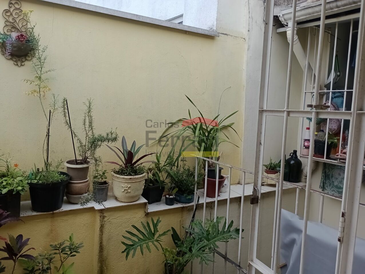 Foto 17