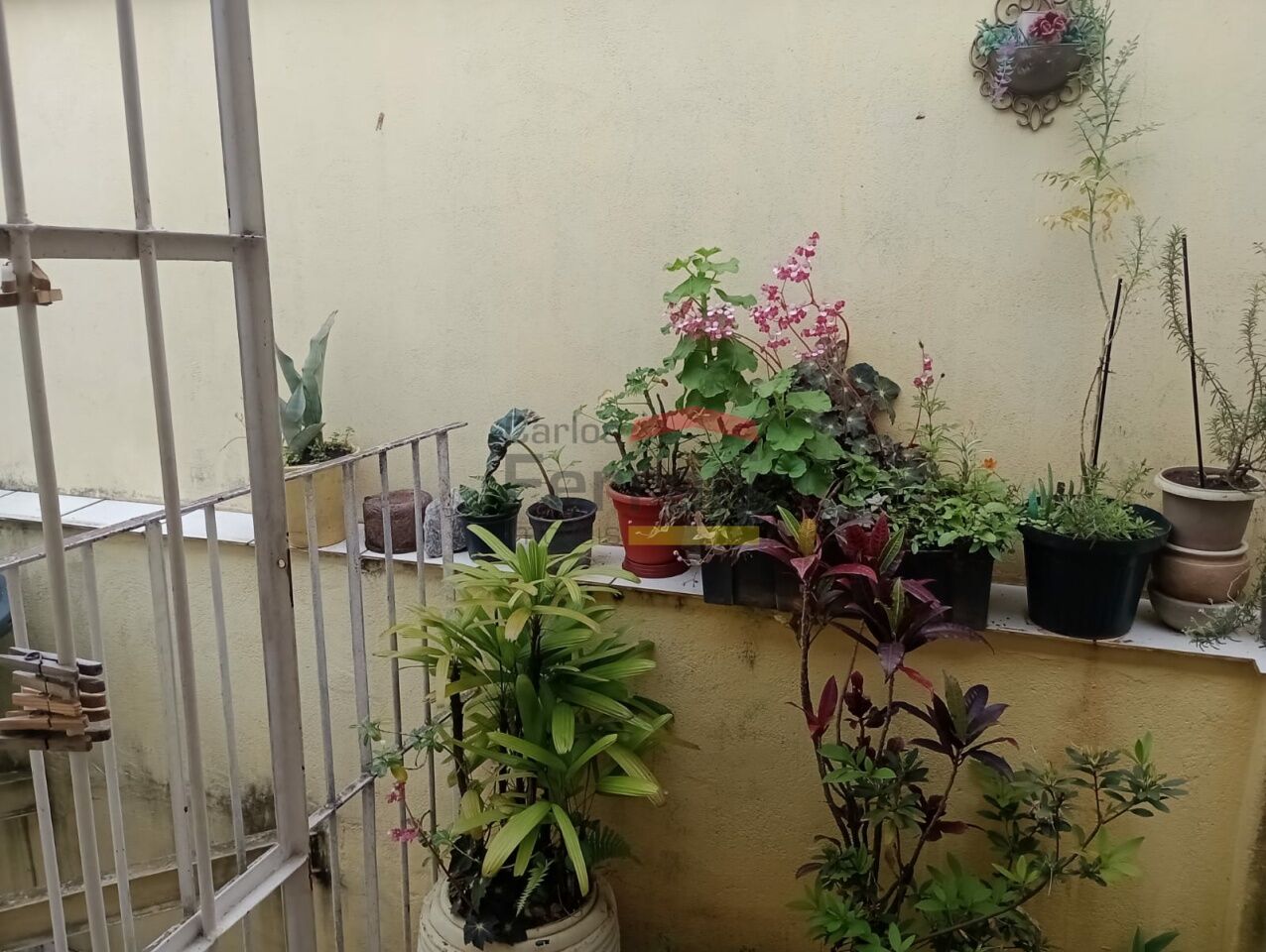 Foto 16