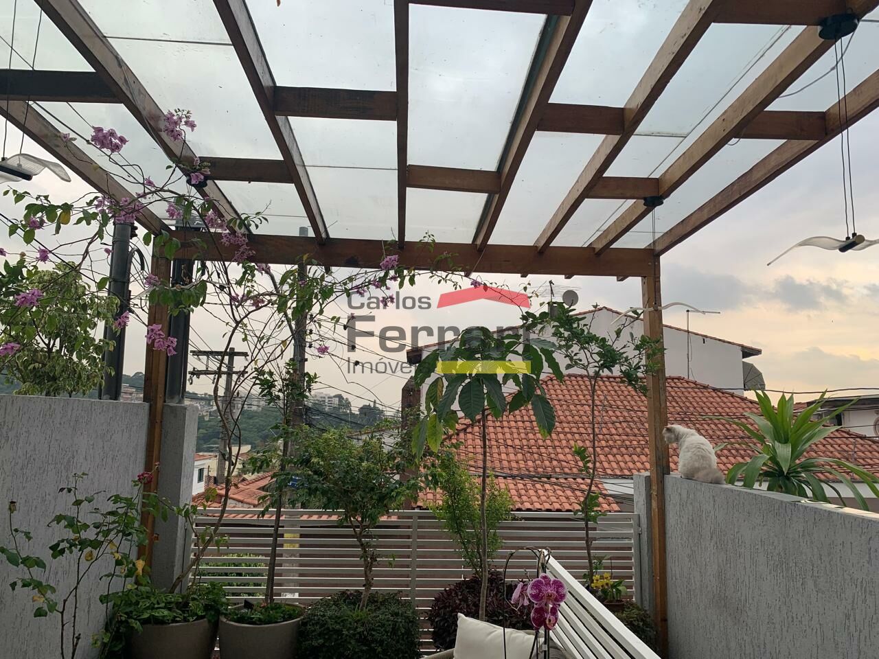 Foto 0