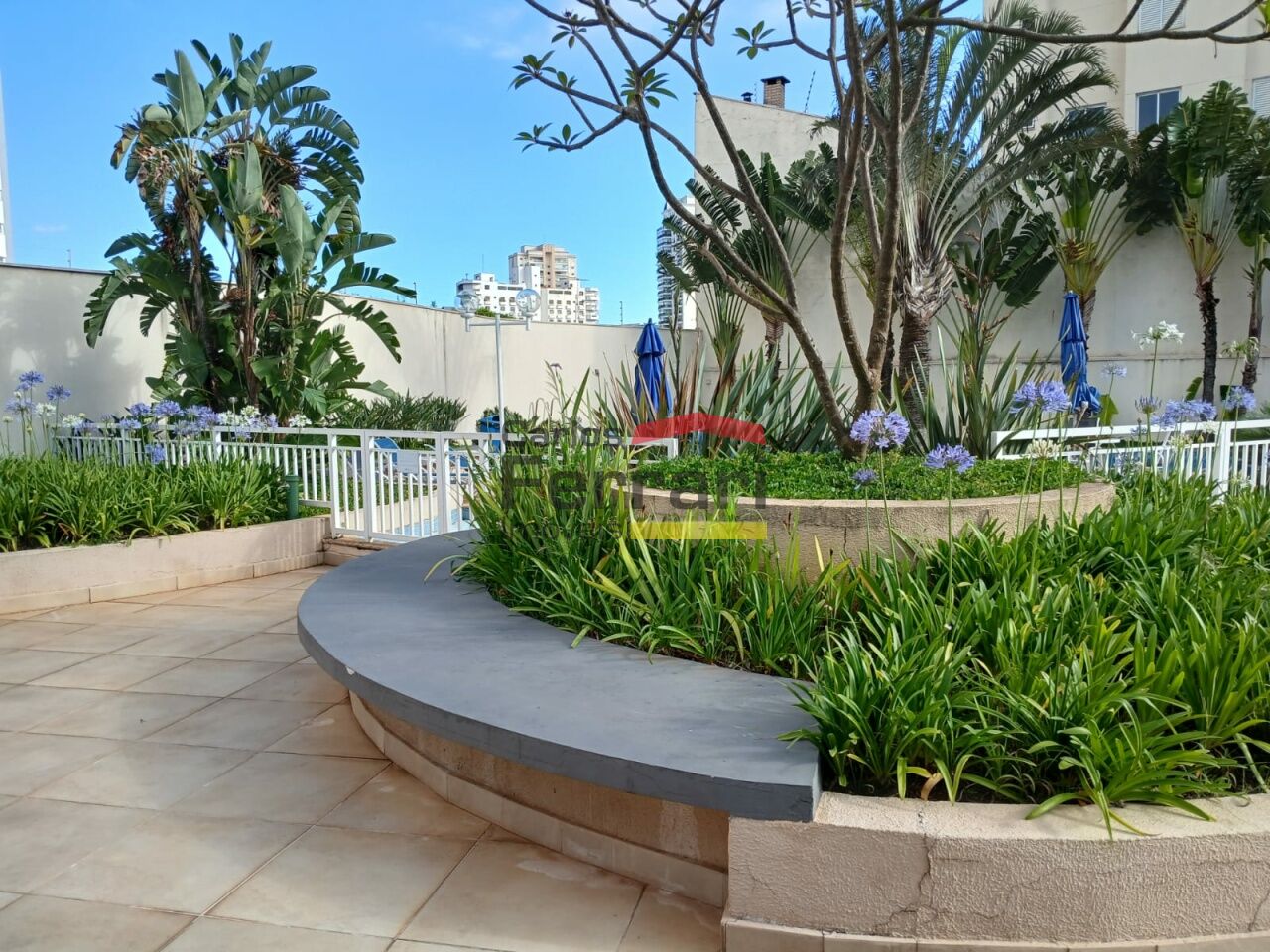 Foto 6