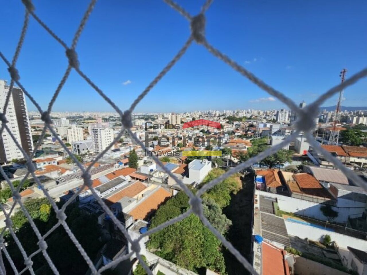 Foto 19
