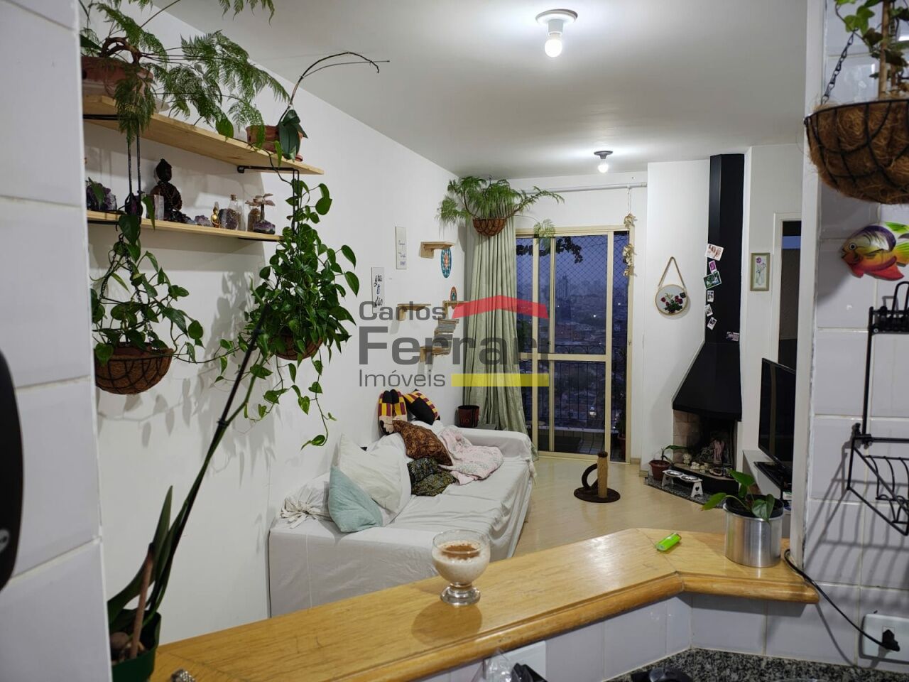 Foto 1