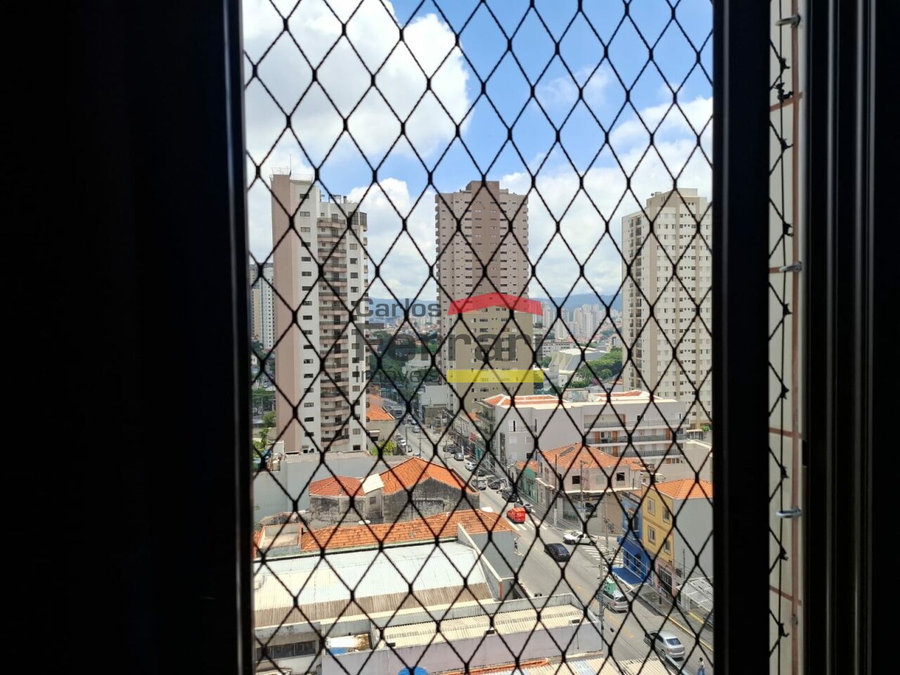 Foto 19