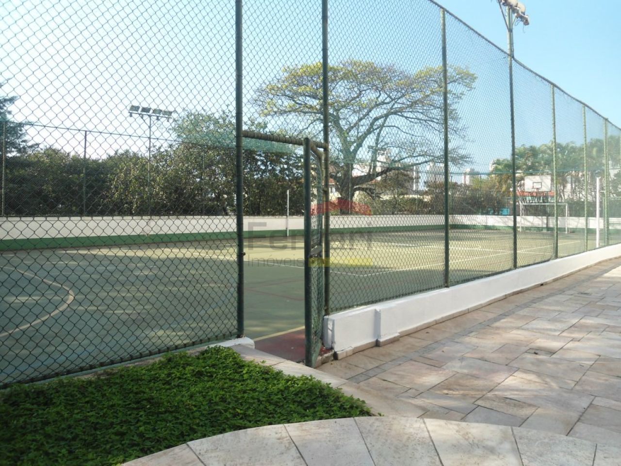 Foto 12